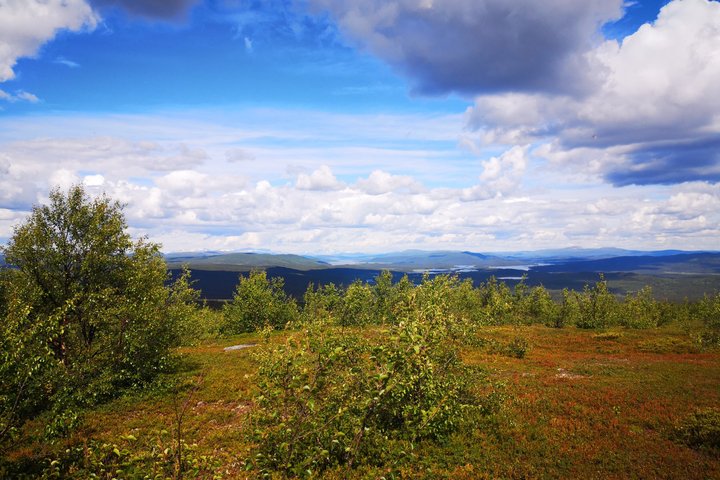 Kurravaara Hiking Tour Scenic Nature Walk in Kiruna