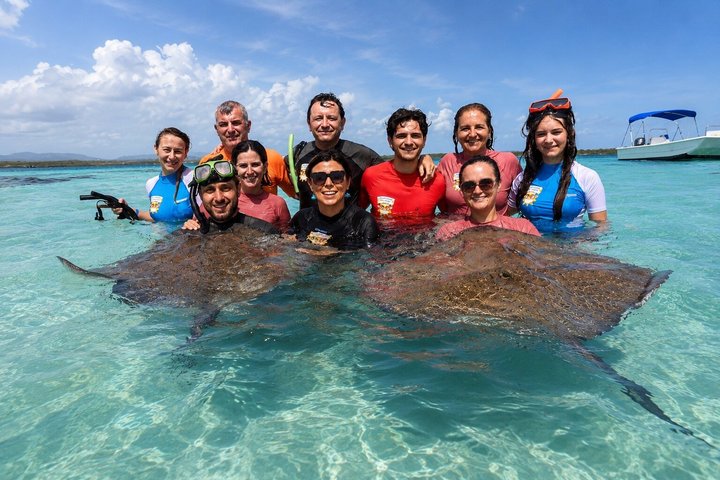 6h Ultimate Antigua Tour: Stingray City, Beach & Local Lunch