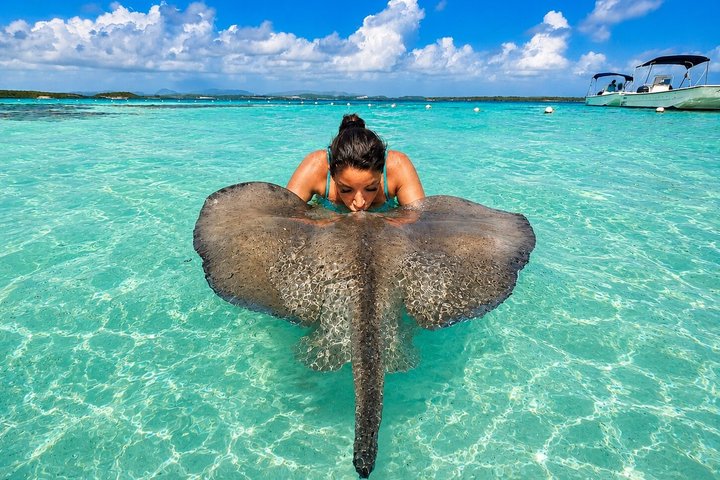 6h Ultimate Antigua Tour: Stingray City, Beach & Local Lunch