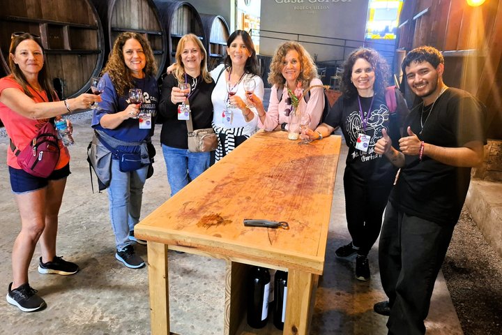 Excursión de 3 bodegas y 1 olivícola con degustación