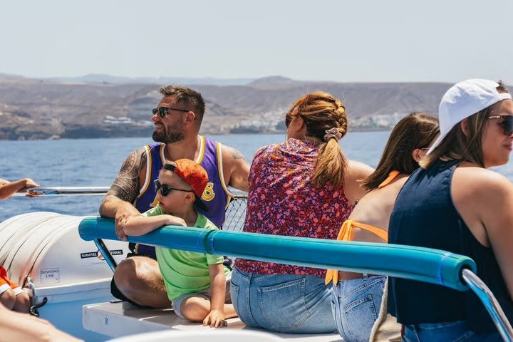 Dolphin and Whale Cruise in Puerto Rico, Gran Canaria