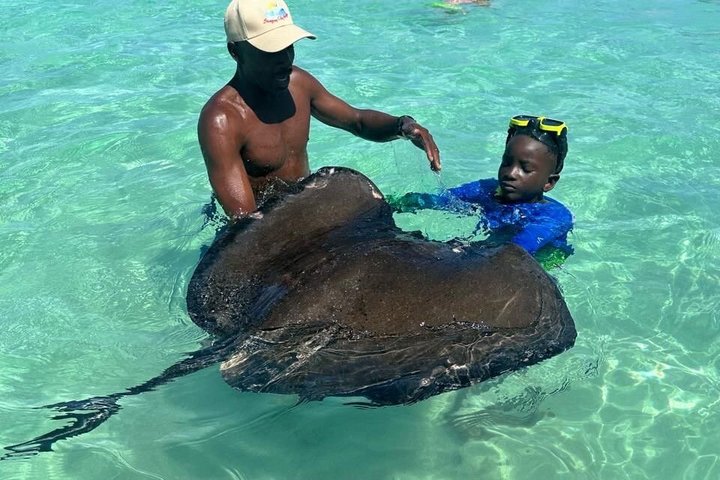 Antigua Stingray Experience with Hotel Pickup & Local Guide
