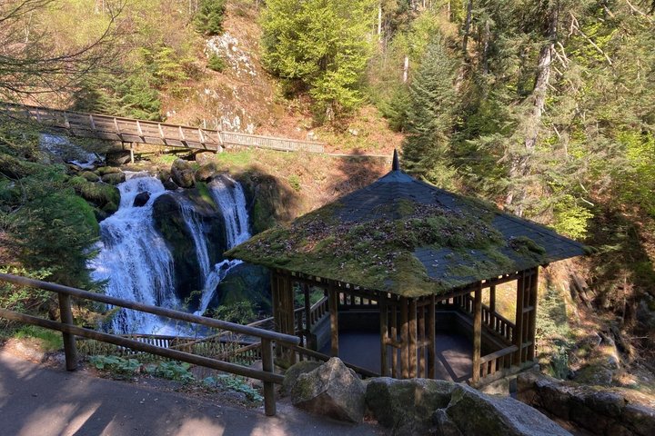 From Strasbourg Visit to the Black Forest in Triberg Titisee Freiburg