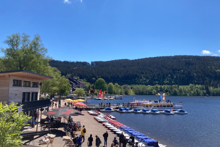 From Strasbourg Visit to the Black Forest in Triberg Titisee Freiburg