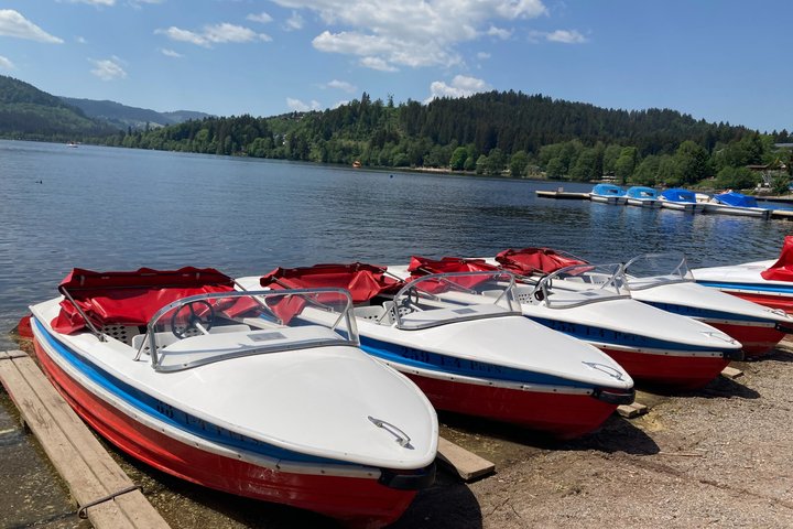 From Strasbourg Visit to the Black Forest in Triberg Titisee Freiburg