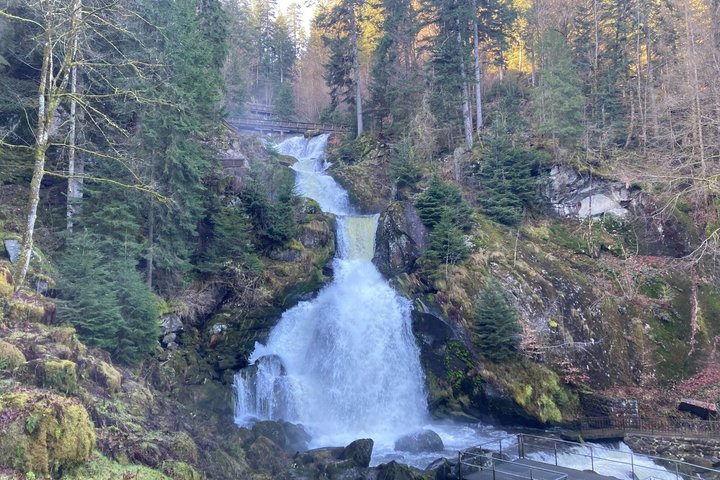 From Strasbourg Visit to the Black Forest in Triberg Titisee Freiburg
