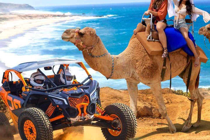 NEW!! Camel Ride and UTV Combo with Tequila Tasting Los Cabos