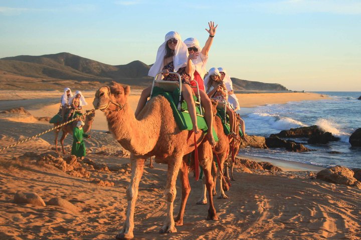 NEW!! Camel Ride and UTV Combo with Tequila Tasting Los Cabos