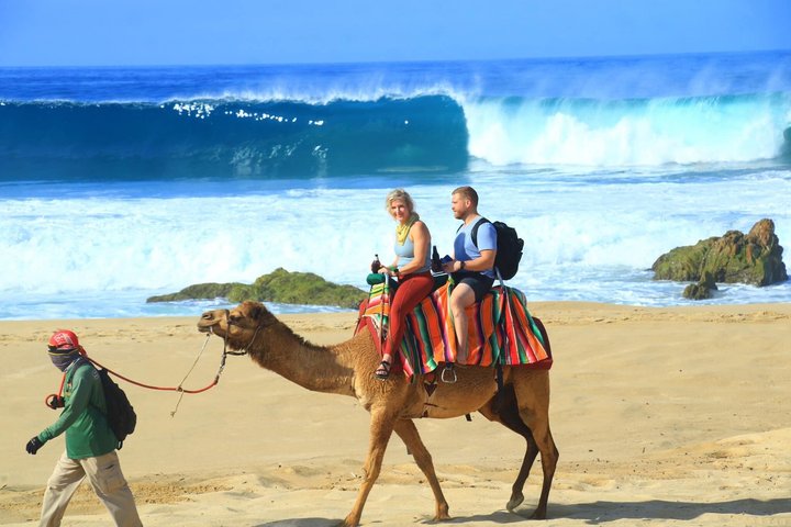 NEW!! Camel Ride and UTV Combo with Tequila Tasting Los Cabos