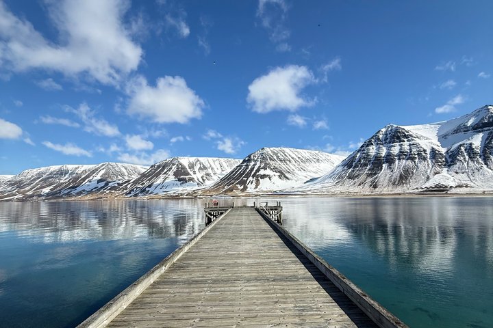 4 Hour Isafjordur and Dynjandi Tour With Photo Stops