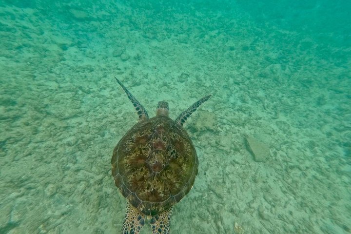 Private Snorkeling Adventure in Mirissa with GoPro and Transfers