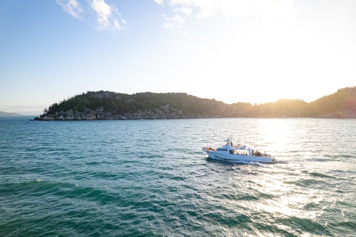 Whale Watching and Wildlife Cruise Townsville and Magnetic Island