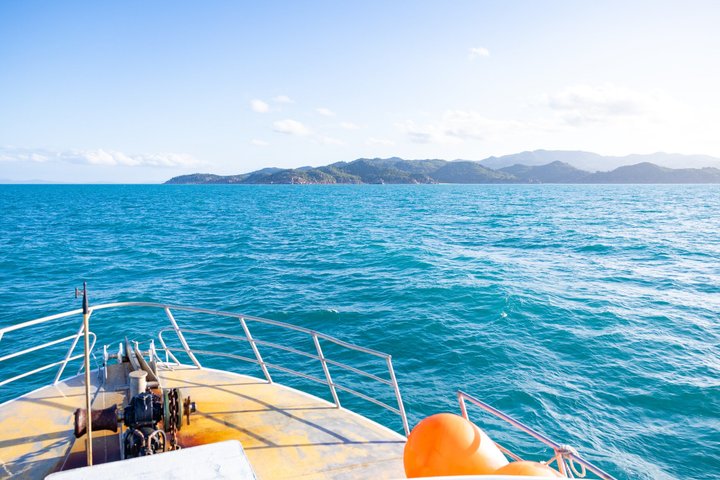 Whale Watching and Wildlife Cruise Townsville and Magnetic Island