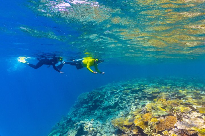 Great Barrier Reef Cruise from Townsville or Magnetic Island
