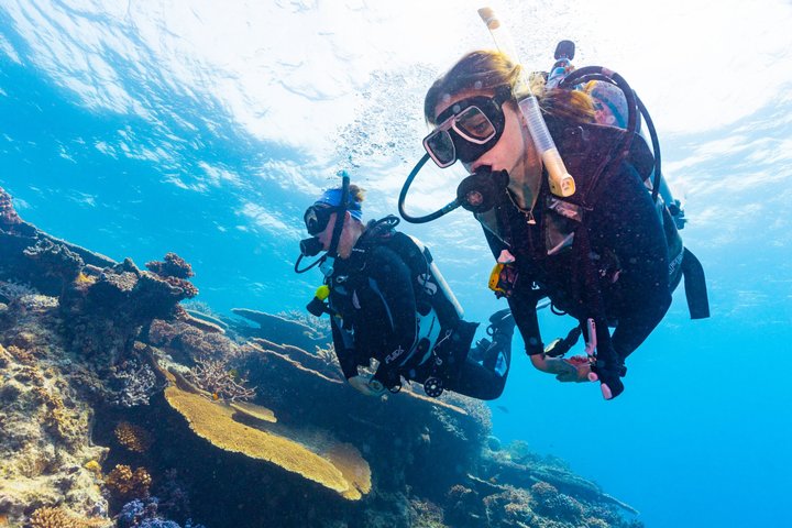Great Barrier Reef Cruise from Townsville or Magnetic Island