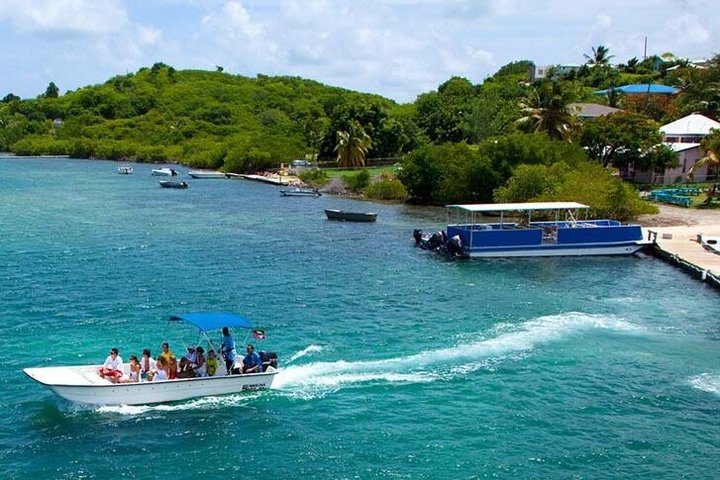 6h Ultimate Antigua Tour: Stingray City, Beach & Local Lunch