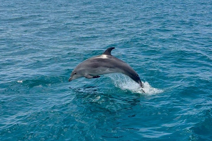 Private Marbella Cruise with Drinks and Paddle Board