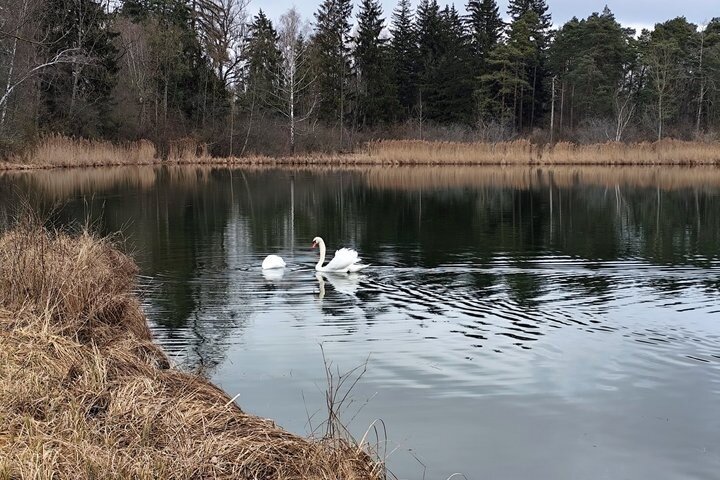 Self-guided adventure tour through the Danube Marshes