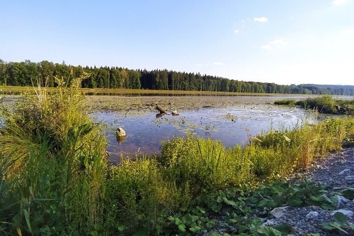 Self-guided adventure tour through the Danube Marshes