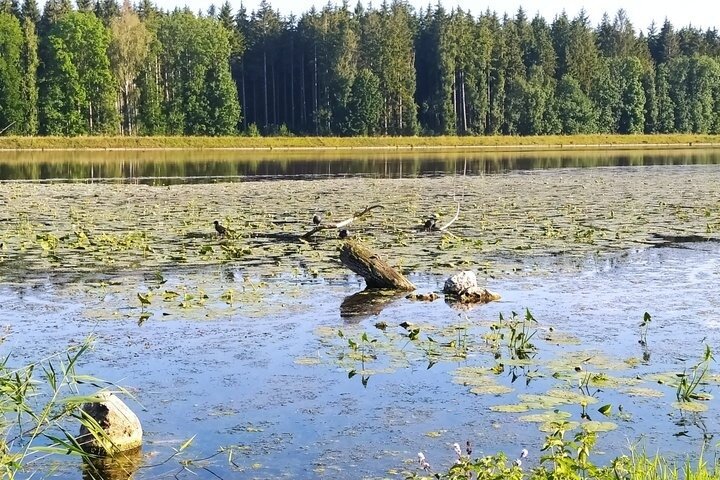 Self-guided adventure tour through the Danube Marshes