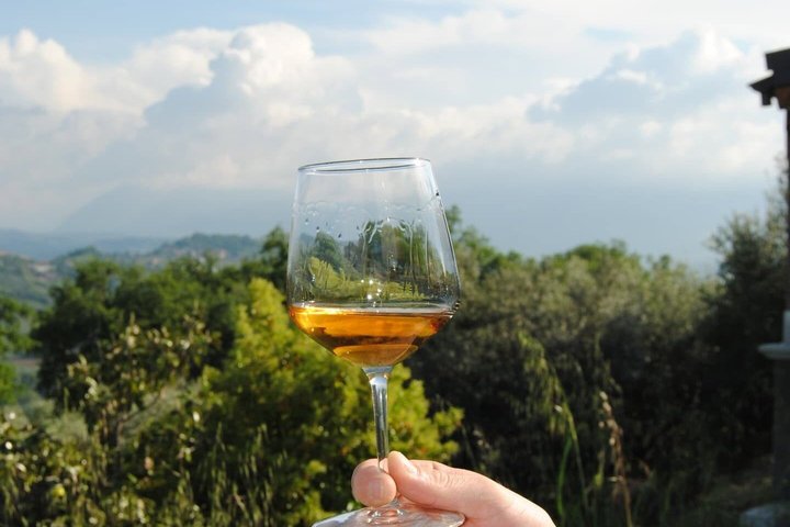 Winery Tour and Tasting in Abruzzo