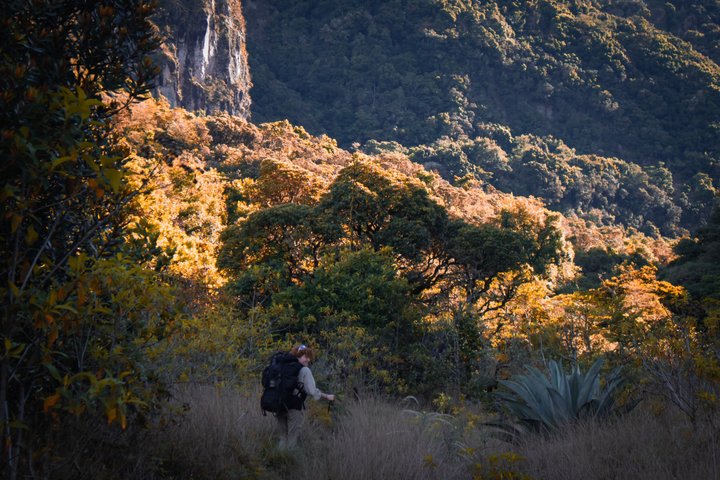 2-Day Volcan Barú Camping trip via Paso Ancho Trail with sunrise