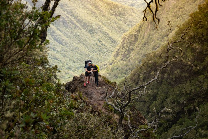2-Day Volcan Barú Camping trip via Paso Ancho Trail with sunrise