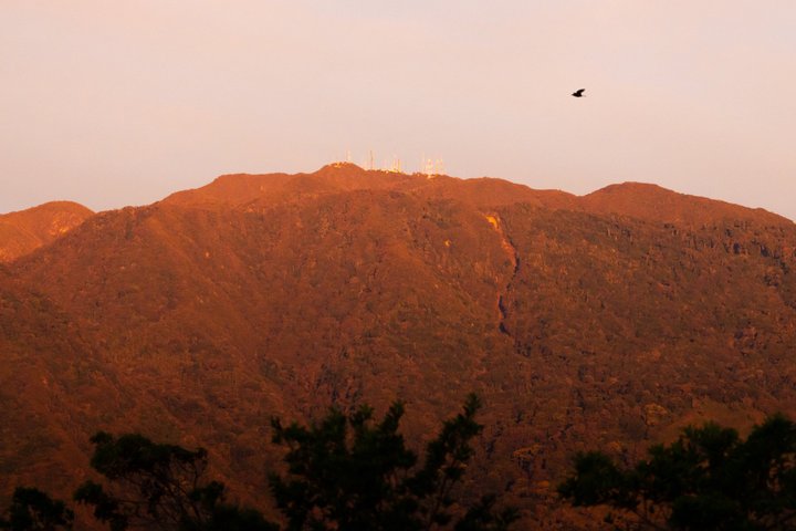 2-Day Volcan Barú Camping trip via Paso Ancho Trail with sunrise