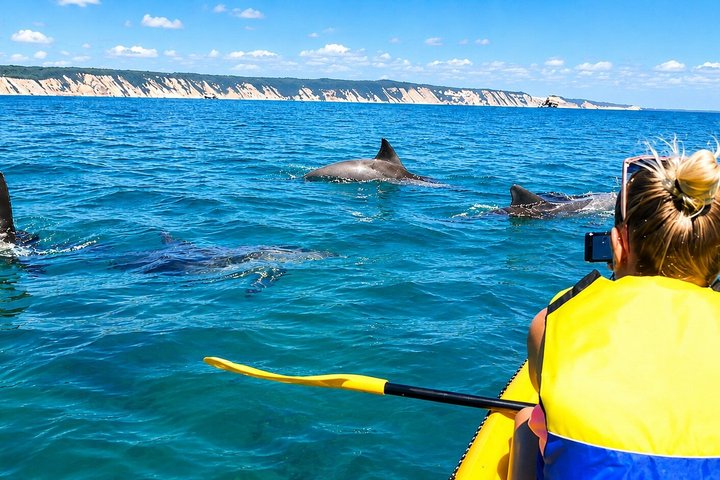 Rainbow Beach: Whale Watching Ocean Kayak Tour & Beach 4X4
