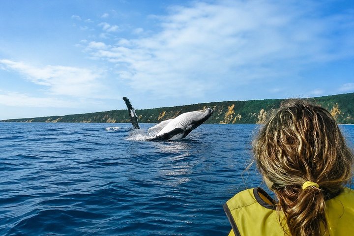 Rainbow Beach: Whale Watching Ocean Kayak Tour & Beach 4X4