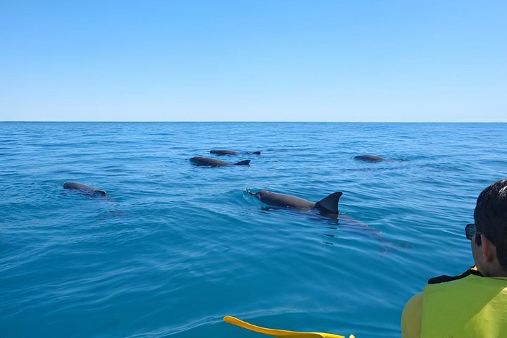 Rainbow Beach: Dolphin & Wildlife Ocean Kayak & Beach 4WD Tour