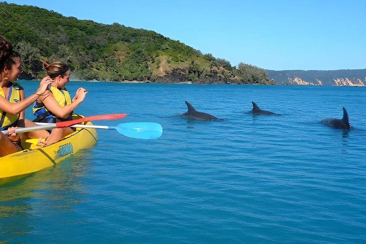 Rainbow Beach: Dolphin & Wildlife Ocean Kayak & Beach 4WD Tour