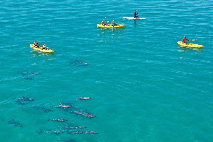 Rainbow Beach: Dolphin & Wildlife Ocean Kayak & Beach 4WD Tour