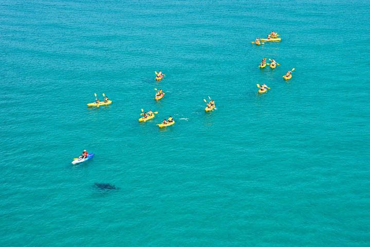 Rainbow Beach: Dolphin & Wildlife Ocean Kayak & Beach 4WD Tour