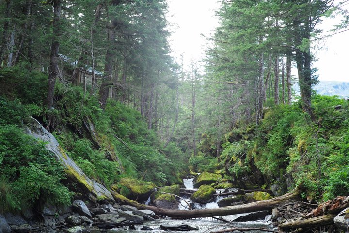 Whittier to Anchorage Post Cruise Scenic Transfer Tour