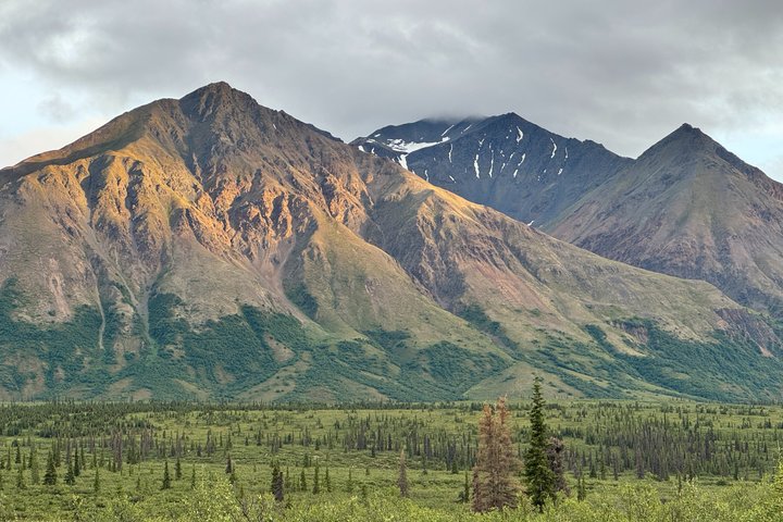 Whittier to Anchorage Post Cruise Scenic Transfer Tour
