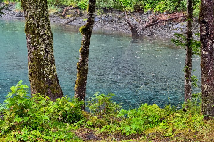 Whittier to Anchorage Post Cruise Scenic Transfer Tour
