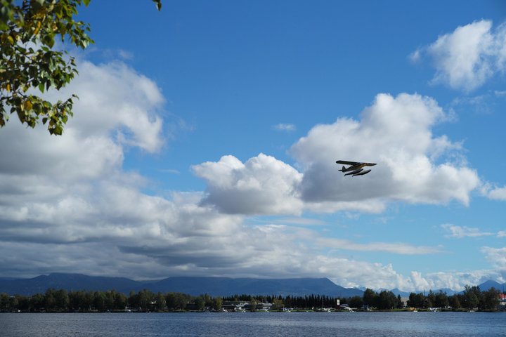 Whittier to Anchorage Post Cruise Scenic Transfer Tour