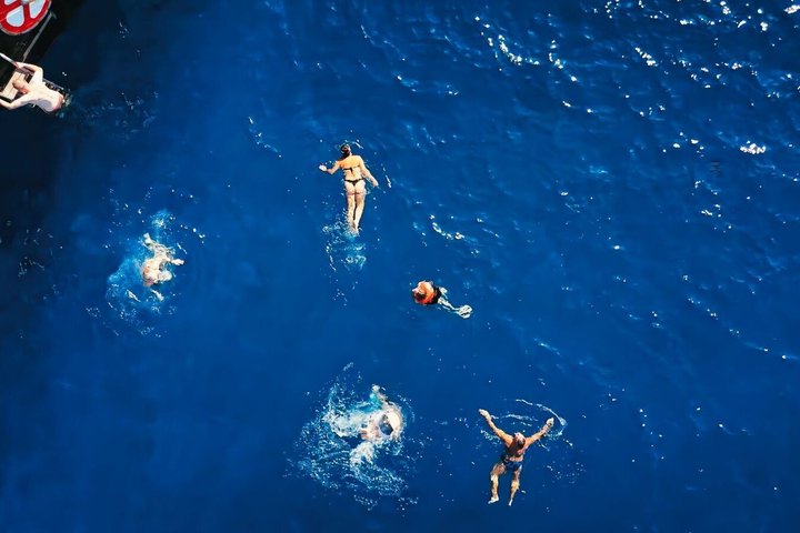 Tenerife Whale and Dolphin Watching + SWIM STOP