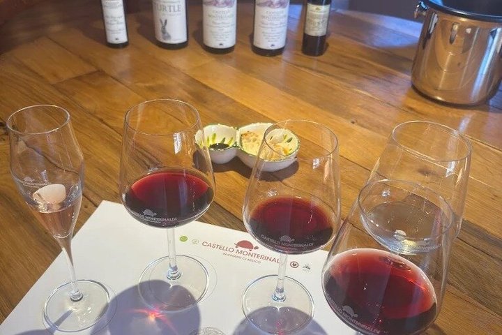 Radda in Chianti: Wine Tasting, Cellar Tour & Tuscan Lunch