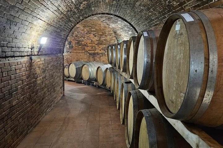 Radda in Chianti: Wine Tasting, Cellar Tour & Tuscan Lunch