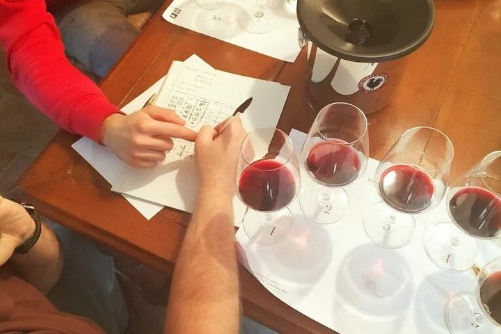 Radda in Chianti: Wine Tasting, Cellar Tour & Tuscan Lunch