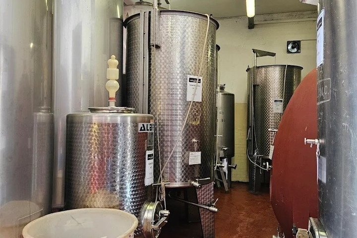 Radda in Chianti: Wine Tasting, Cellar Tour & Tuscan Lunch