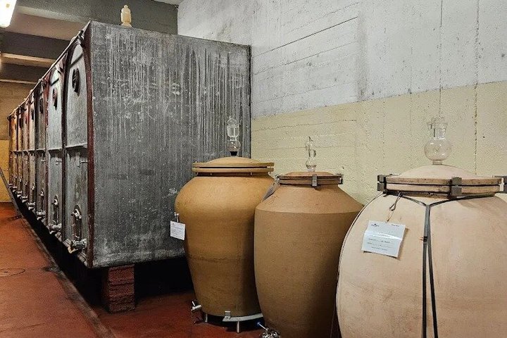 Radda in Chianti: Wine Tasting, Cellar Tour & Tuscan Lunch