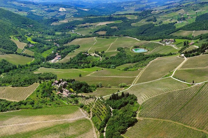 Radda in Chianti: Wine Tasting, Cellar Tour & Tuscan Lunch