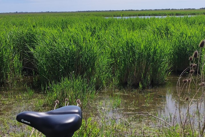 Happy tour camargue visit, ride, electric bike excursion