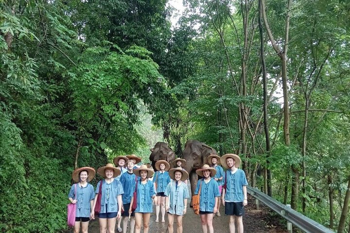 Ethical Elephant Visit and White Water Rafting in Chiang Mai