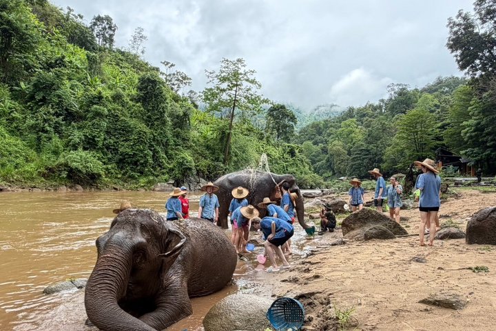 Ethical Elephant Visit and White Water Rafting in Chiang Mai