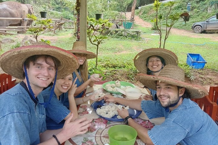 Ethical Elephant Visit and White Water Rafting in Chiang Mai