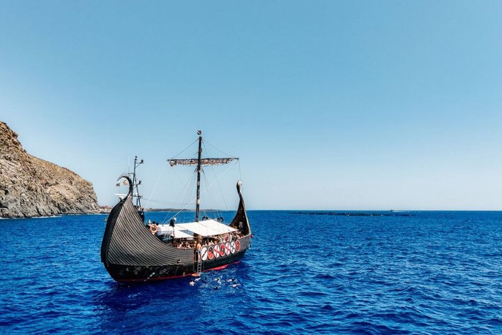 Tenerife Whale and Dolphin Watching + SWIM STOP